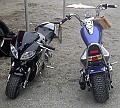 OldiesVet 047